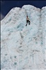 New Zealand: Franz Josef Glacier